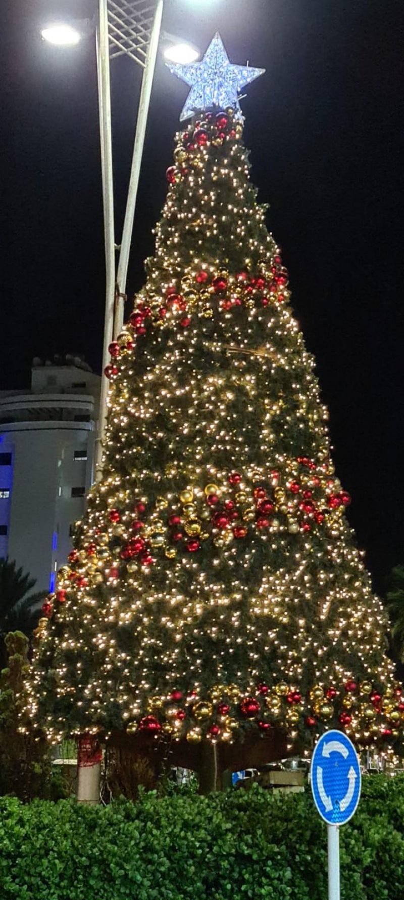 المراكز الجماهيرية- أسوار عكا تبادر إلى إضاءة شجرة الميلاد السنوية في المدينة