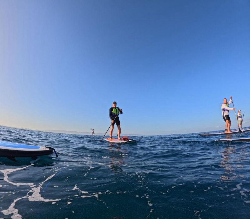 أعضاء نادي "دولفينز عكا" يبحرون من كريات يام إلى عكا على الساب! أعضاء نادي "دولفينز عكا" يبحرون من كريات يام إلى عكا على الساب!