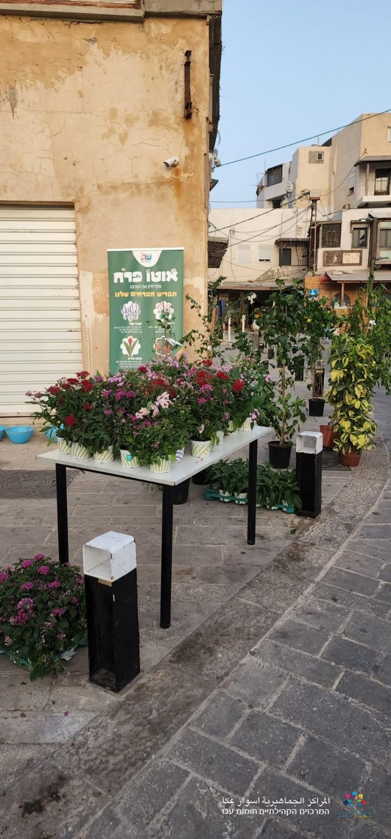 مشروع "حارتي بيتي" يزين حي الفاخورة  بالورود والاشجار بمرافقة سيارة الزهور.