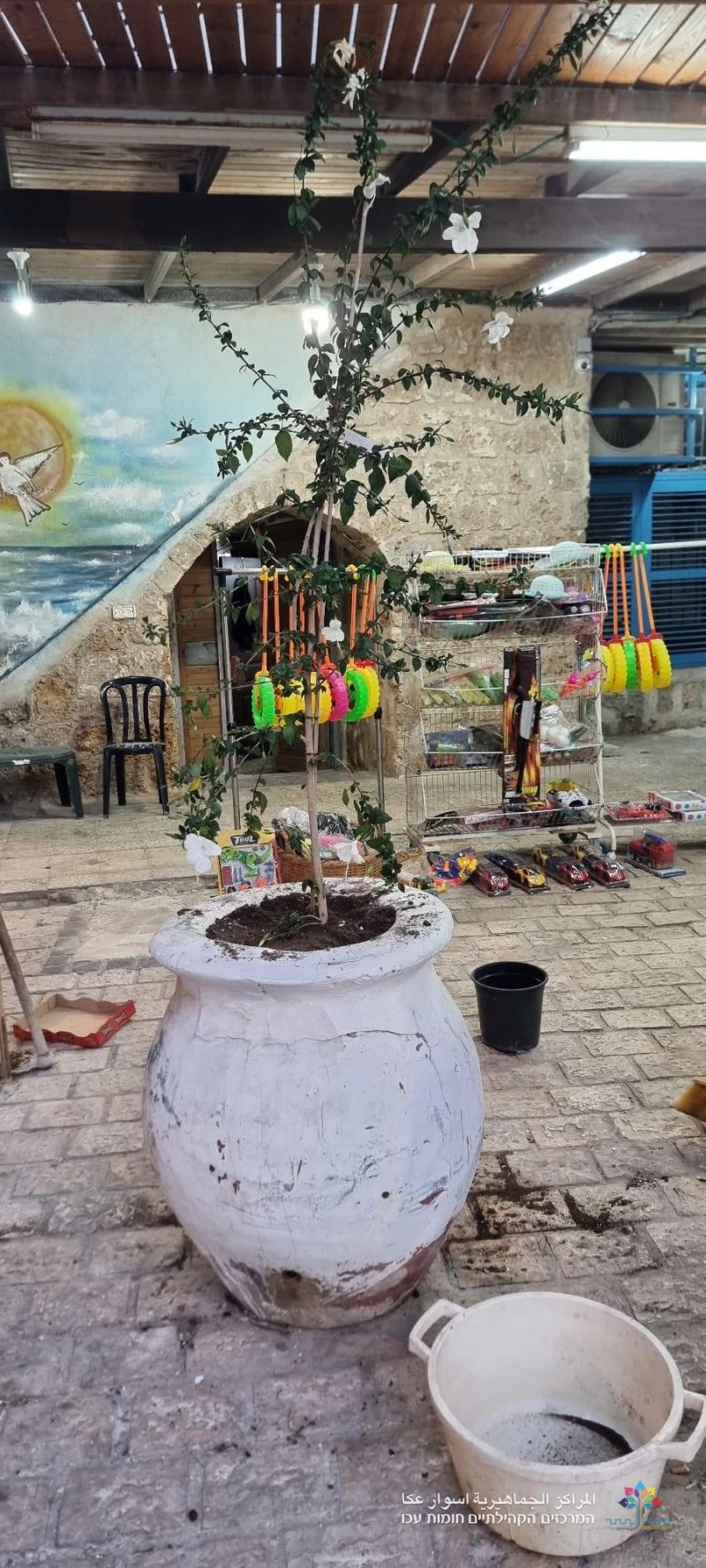مشروع "حارتي بيتي" يزين حي الفاخورة  بالورود والاشجار بمرافقة سيارة الزهور.
